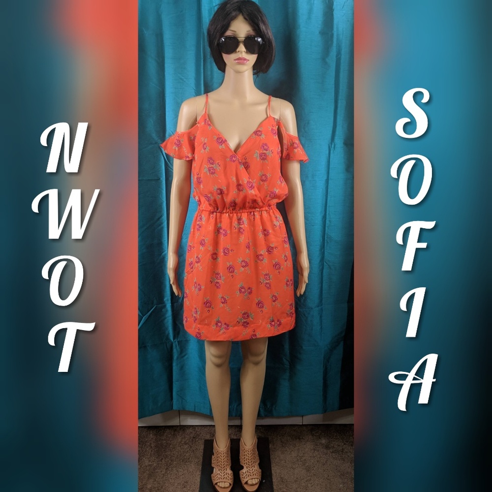 🧡🧡NWOT LARGE SOFIA STRAPPY FLORAL DRESS